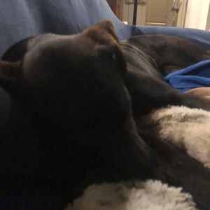 Meet your Posher, Sonya